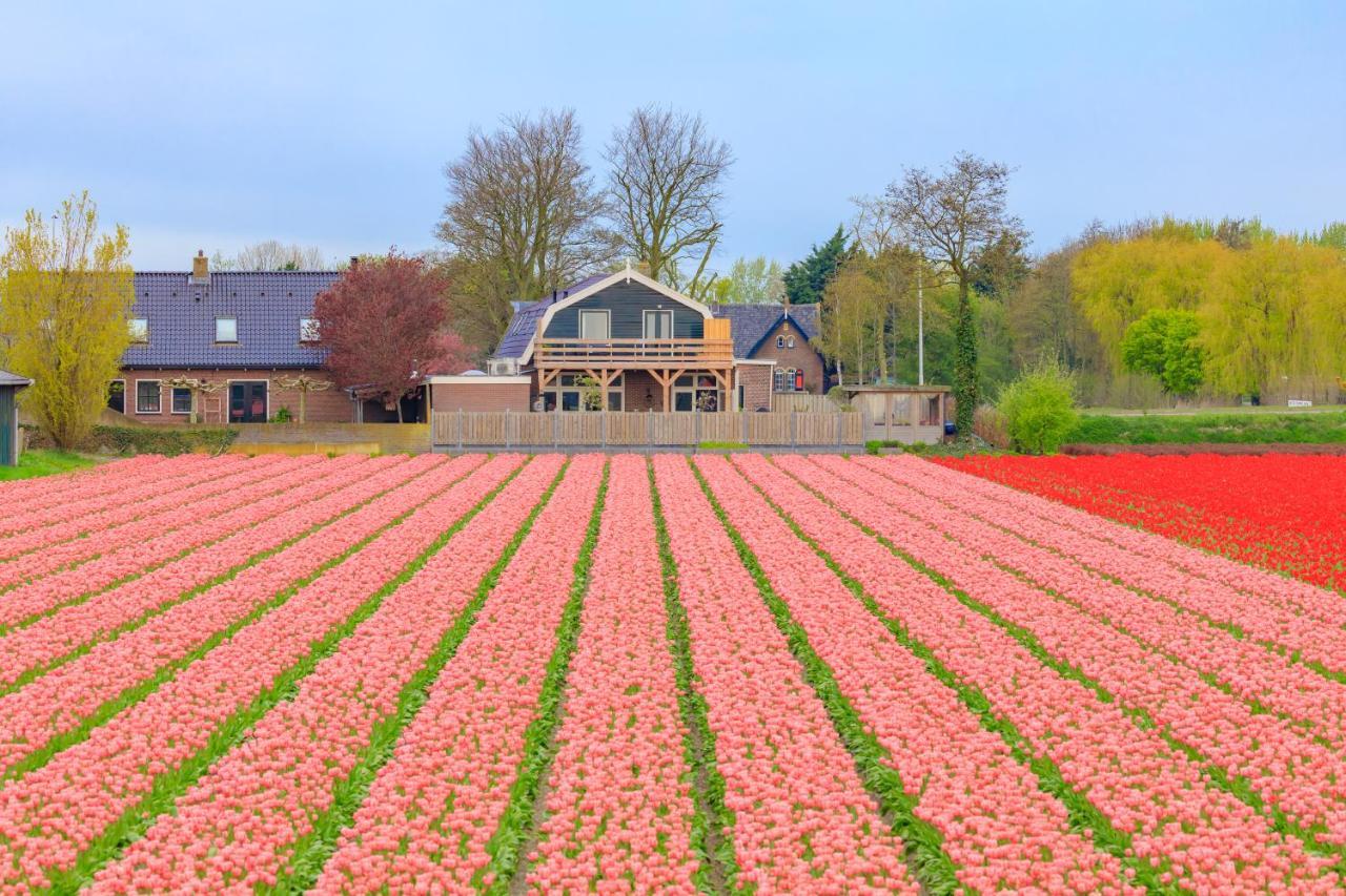 B&B Blossom Lisse Dış mekan fotoğraf