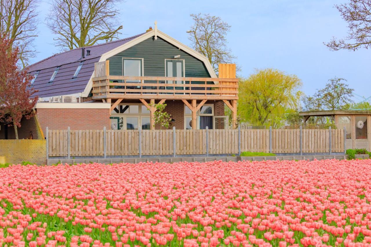 B&B Blossom Lisse Dış mekan fotoğraf